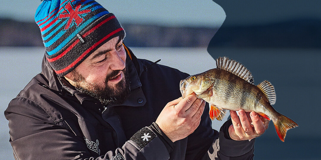 Тактика ловли окуня на балансир