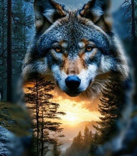 Противостояние