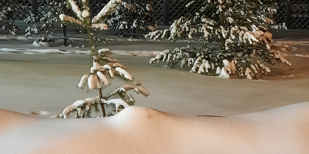 Не вытерпел терпеть 😁