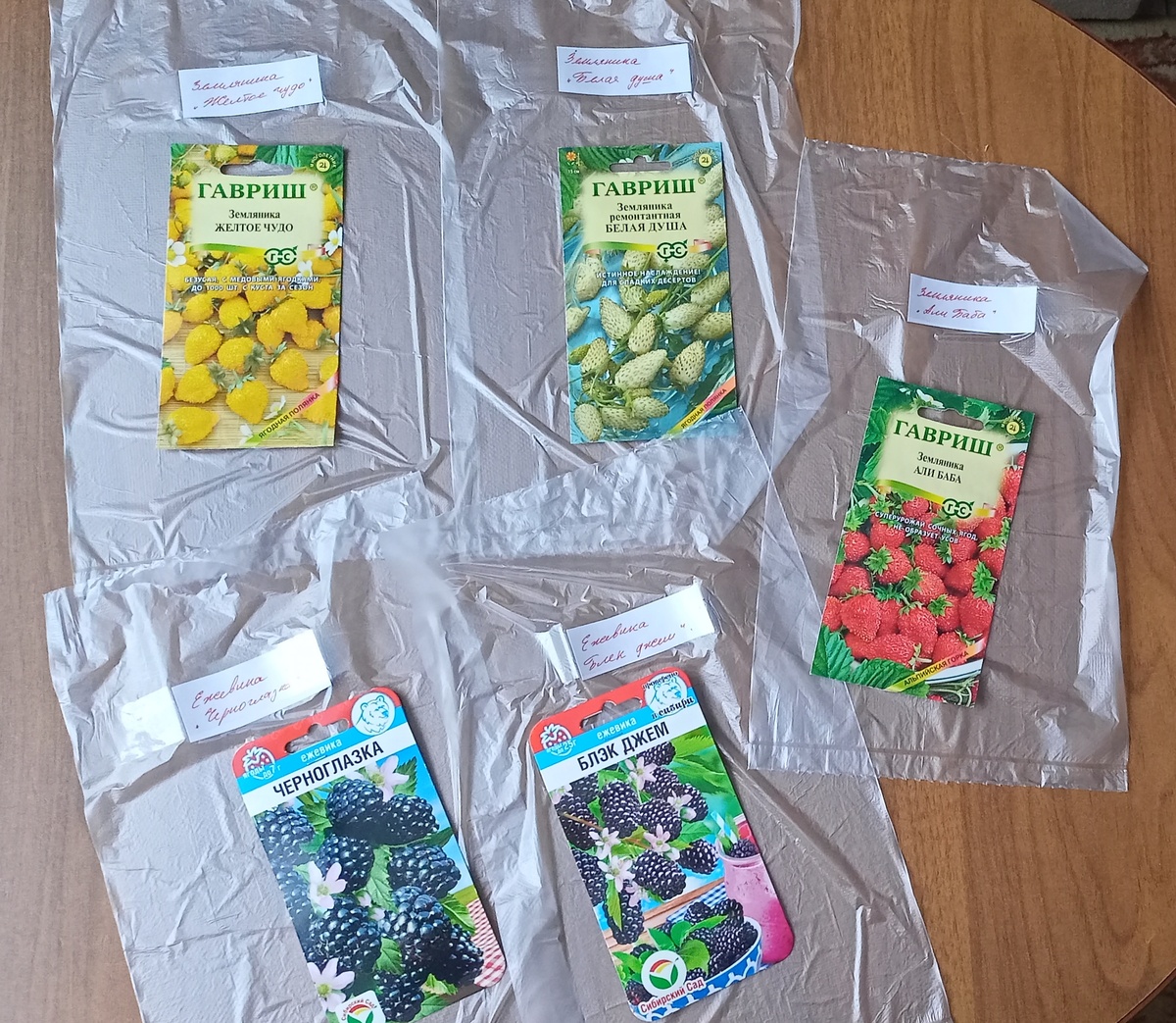 Фото автора канала "Волнушка"