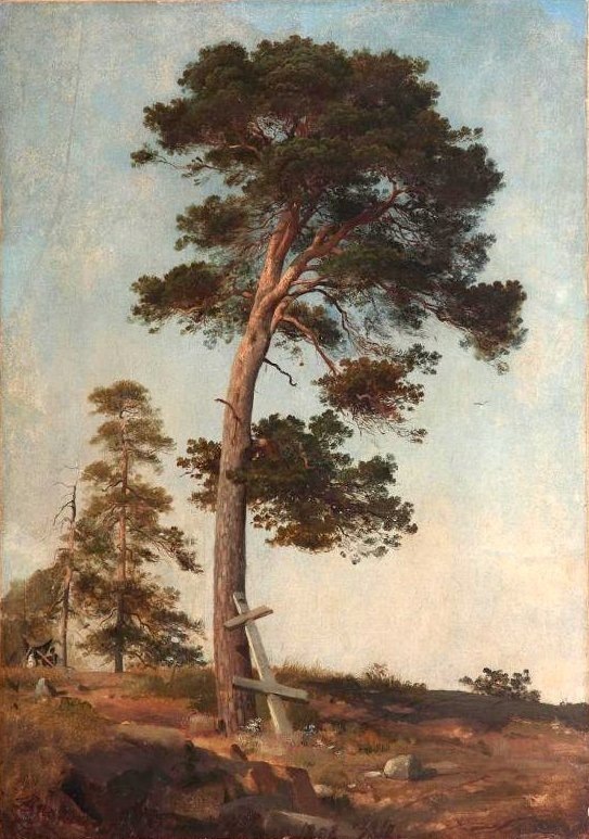 Картина И .Шишкина «Сосна на Валааме» (1858)