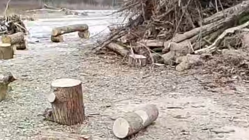      Фото: Телеграм-канал главы Невинномысска Михаила Миненкова