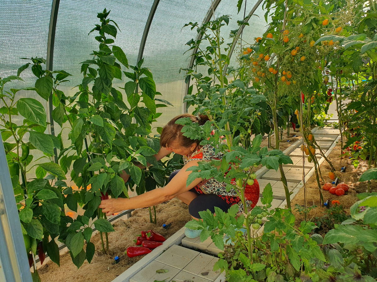 Вдали от города