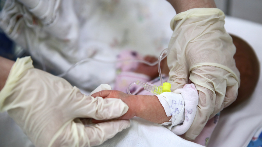    Фото: © РИА Новости/Виталий Тимкив