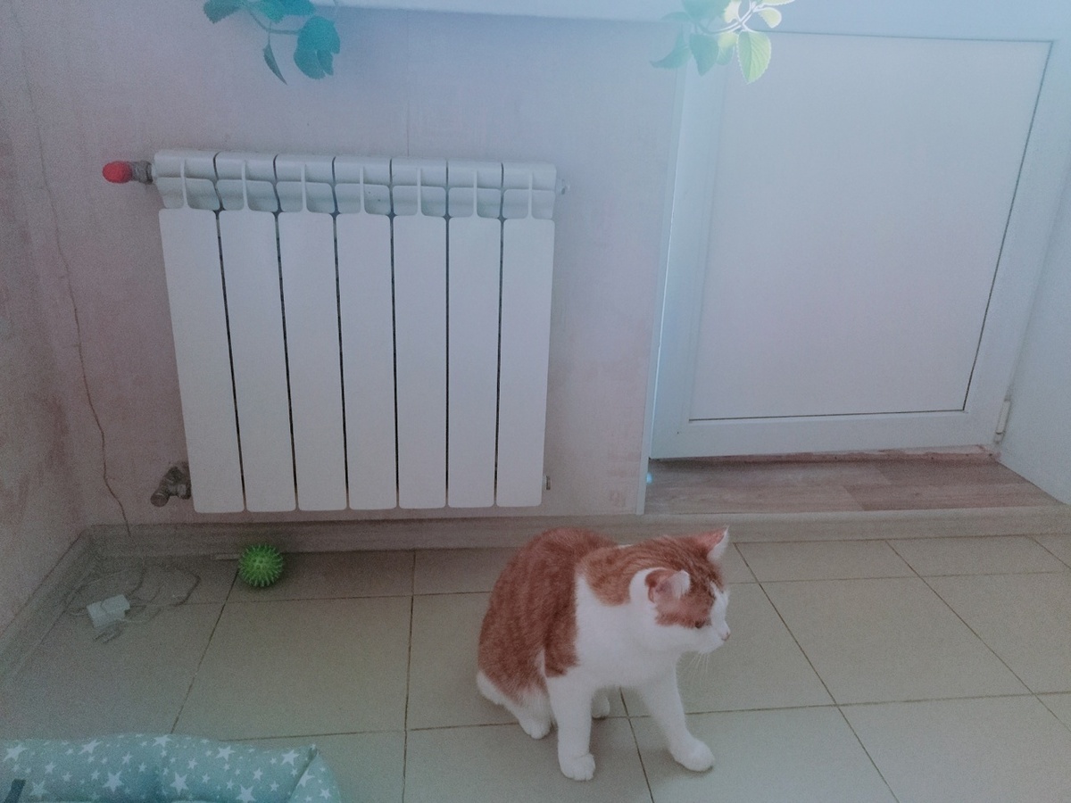    Фото: Марина Куцина