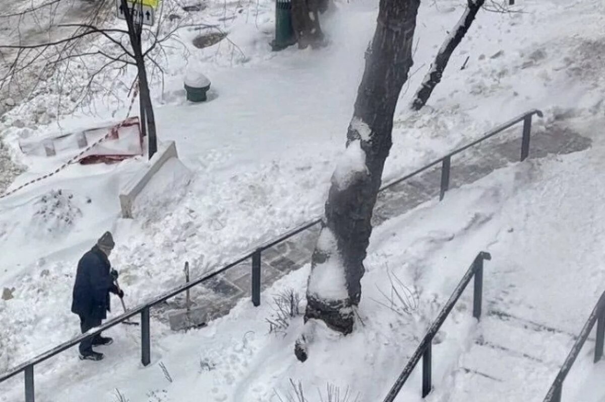    Режиссер «Ежика в тумане» Юрий Норштейн убрал снег возле дома