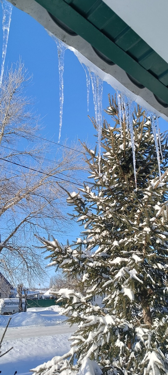 Союз мороза и солнца рождает сосульки