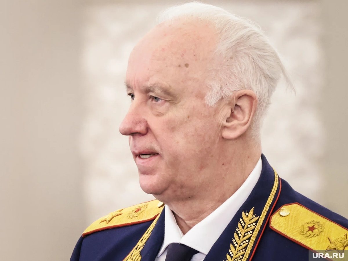     Следствие доложит Бастрыкину о проверке услуг электроснабжения в Сосновском районе