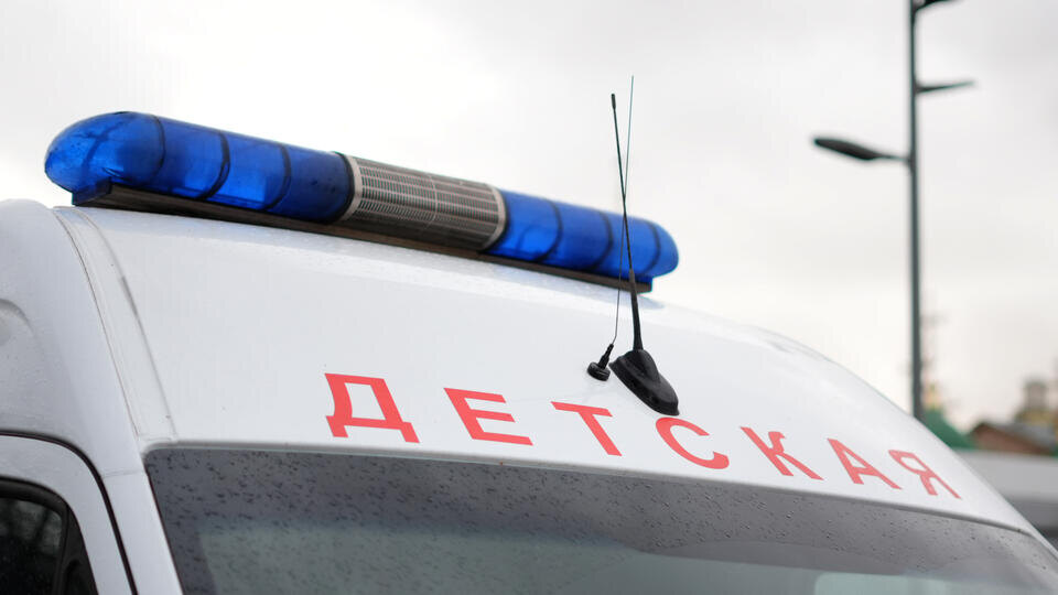     Мужчина сломал нос ребенку, сбившему на горке его жену ИЗВЕСТИЯ/Эдуард Корниенко