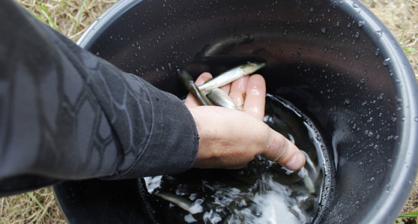    Фото правительства Кировской области
