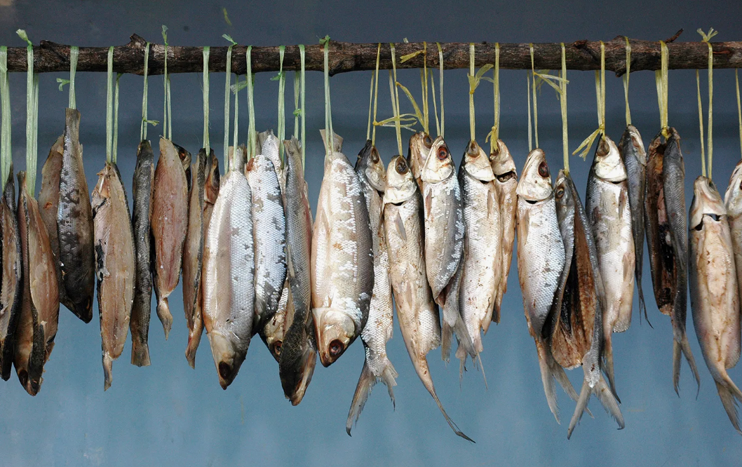 Я прошу прощения у автора, чье это фото. Если надо убрать, то напишите то сразу уберу просто моё фото у меня мрачное получилось