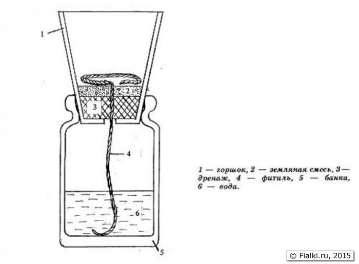 Схема такого полива. 