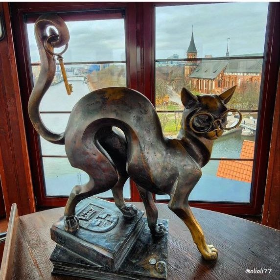 Кот в смотровой башне Рыбной деревни. Калининград. Фото olioli77