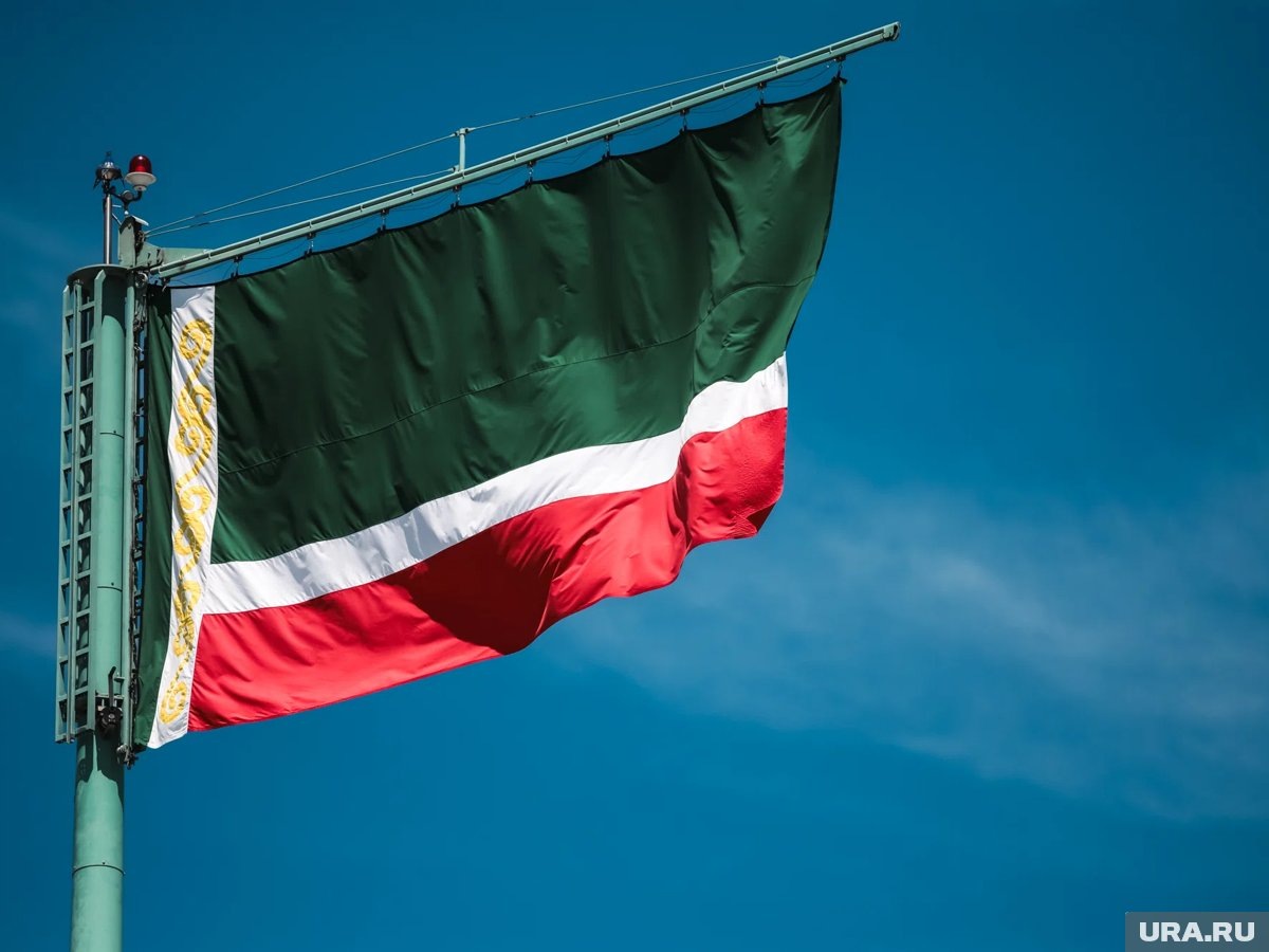    Сына главы Чечни наградили за «заслуги в повышении безопасности атомных станций»