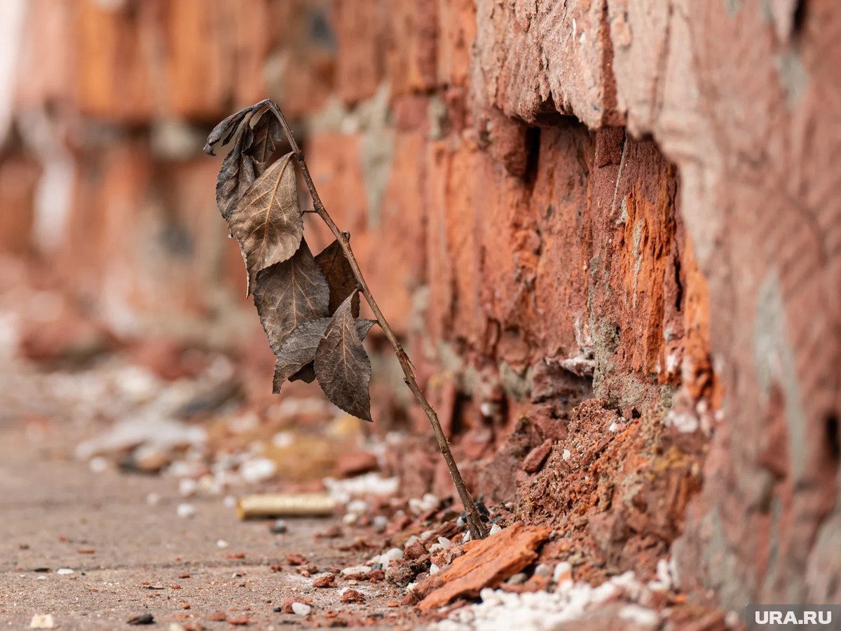     Семью из Ямала не переселяют из дома, который признали аварийным шесть лет назад