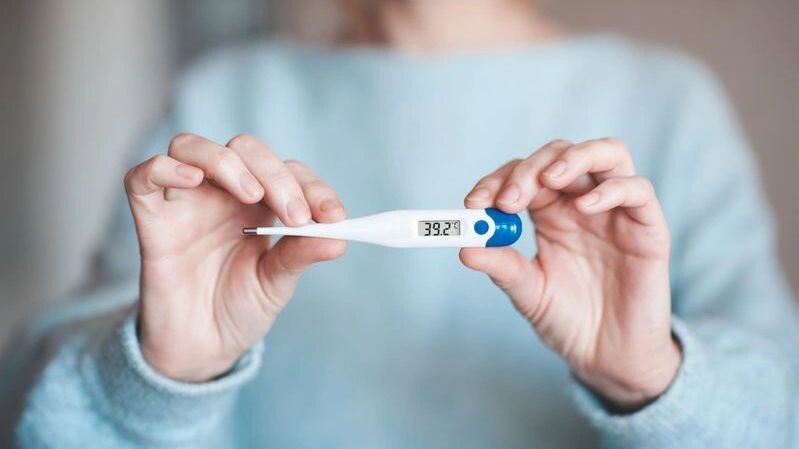    Фото: morrowlight/Shutterstock/Fotodom