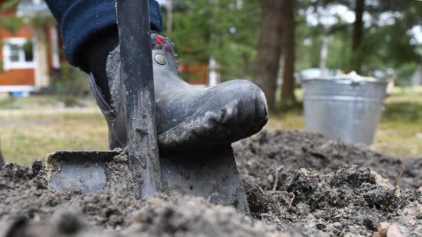   РИА Новости