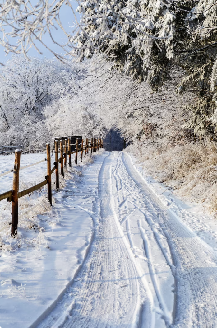 Зима, фрипик