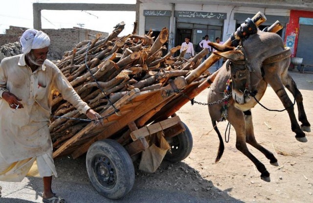 источник Яндекс