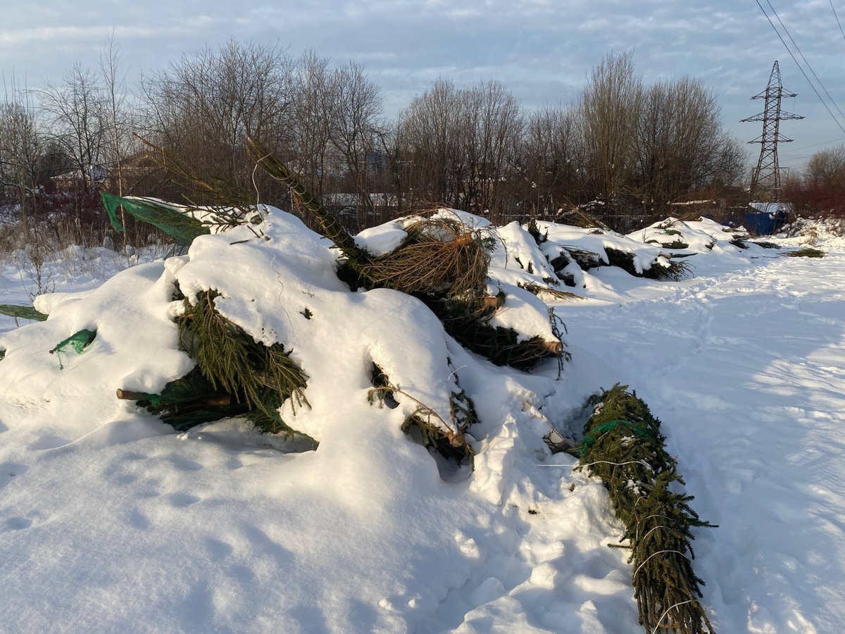 © Администрация Красногвардейского района