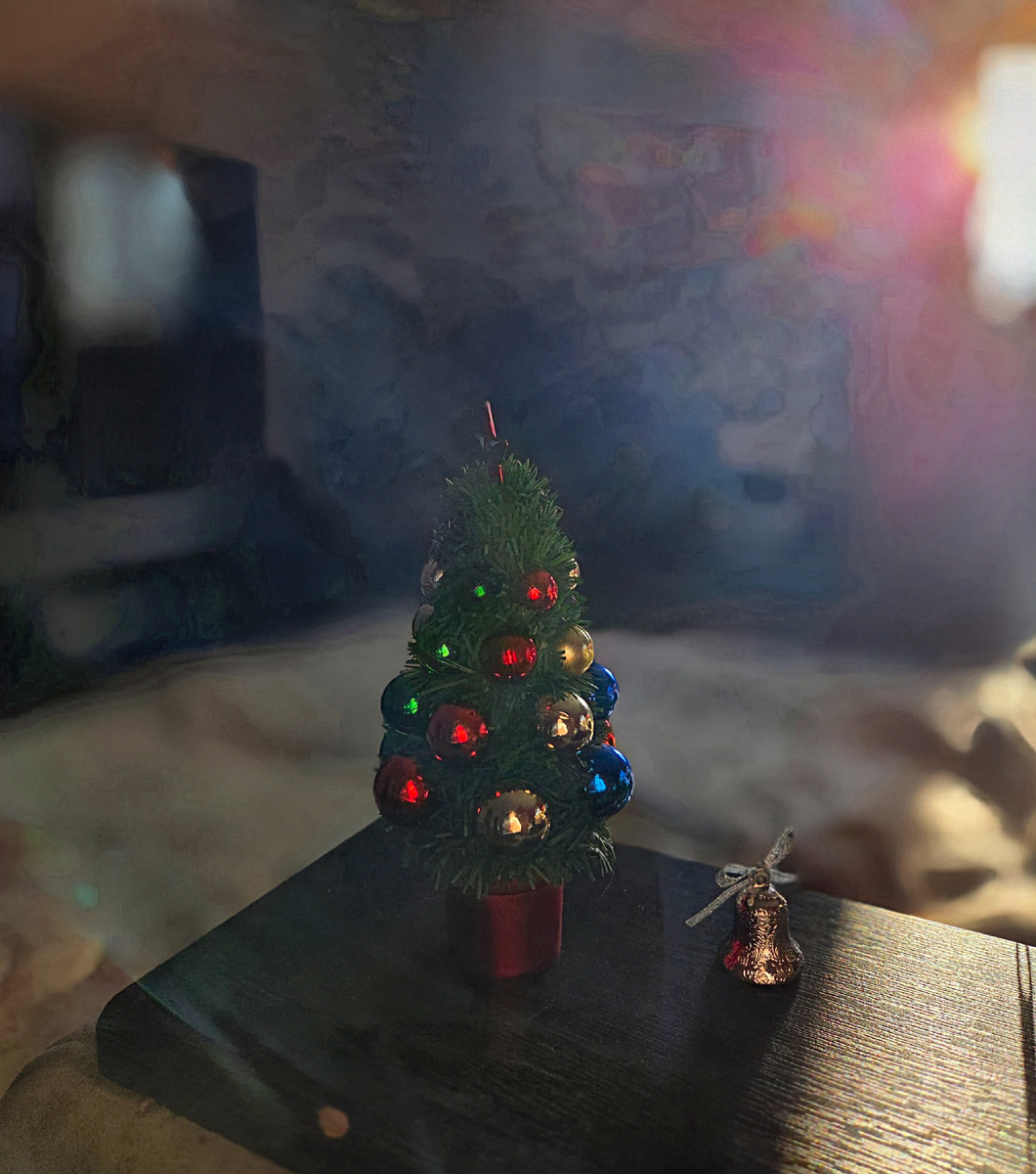 Праздники кончились. Фото: Зеленая леди, сад, семья и томатный сок 