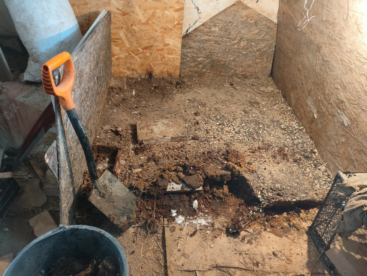 Начала раскопки