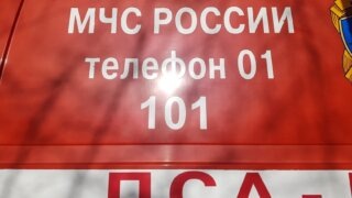    Элина Болдырева Юлия Виноградова