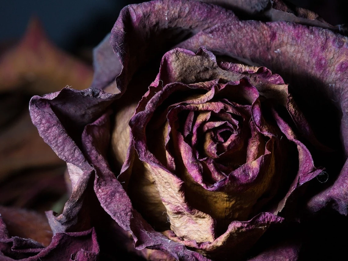 Фото: Shellbie / etsy