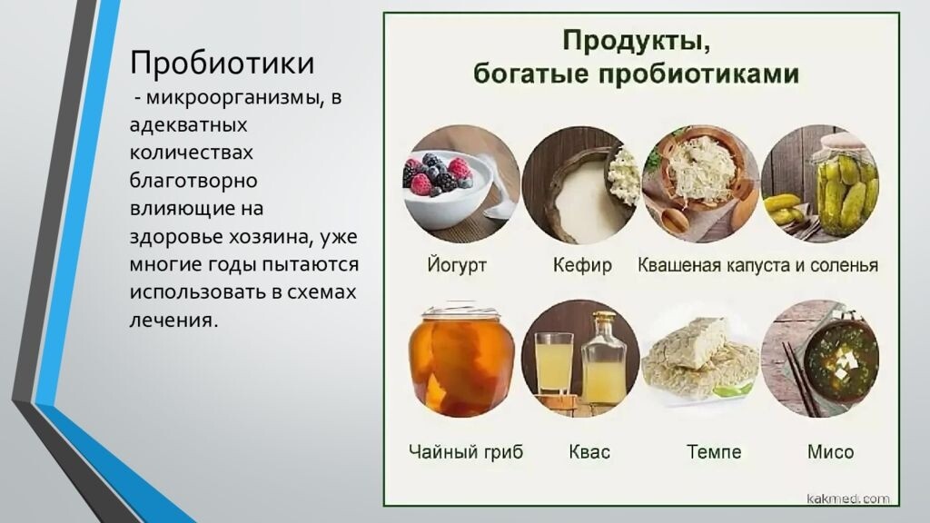 Натуральные пробиотики в продуктах ферментации — проверенный тысячелетиями способ поддержки кишечной флоры
