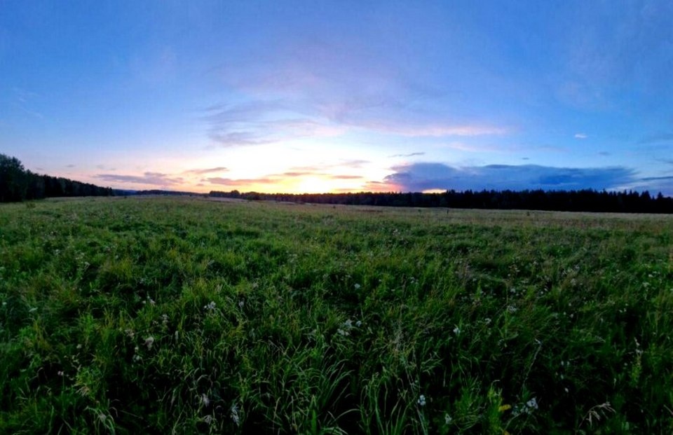 Участок находится недалеко от аэропорта, как и село Еловое, где когда-то располагался зверосовхоз