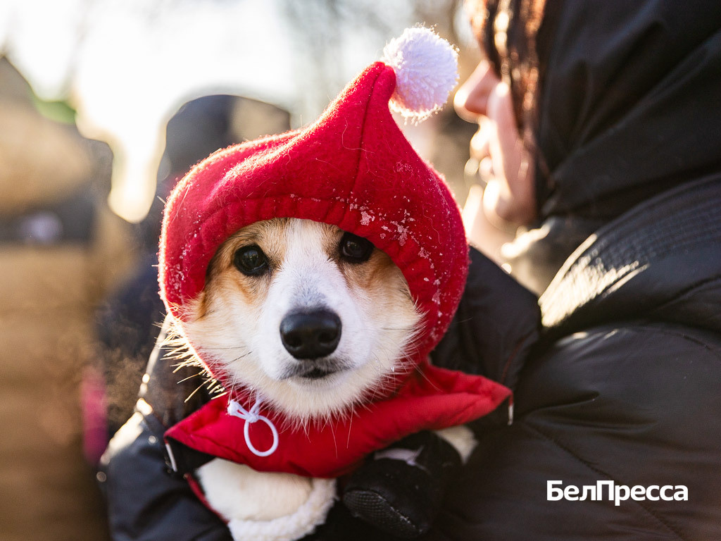     Фото: Алексей Дацковский