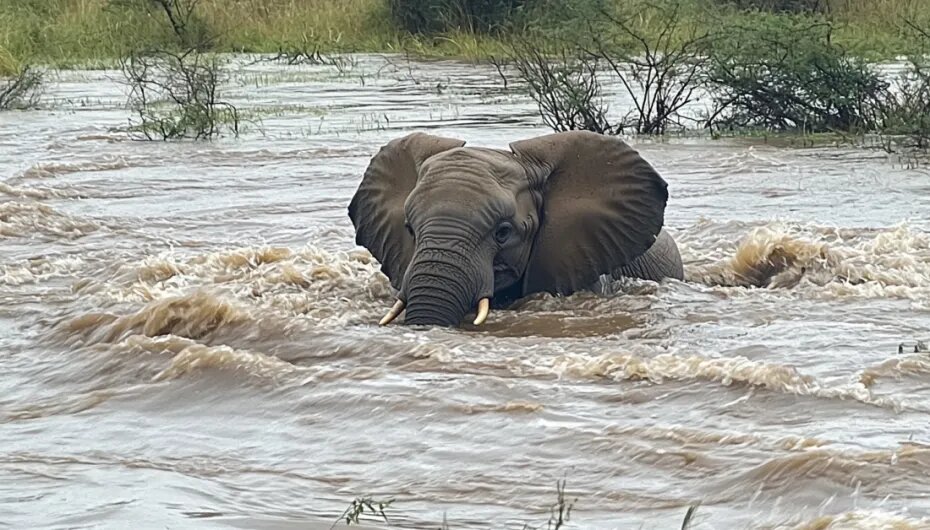    Создано ИИ/NEWS.ru