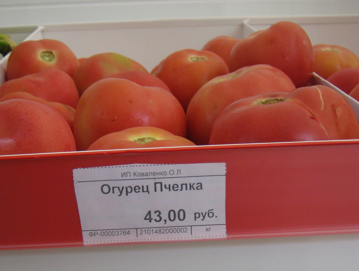 Алтай, "Бирюзовая Катунь"