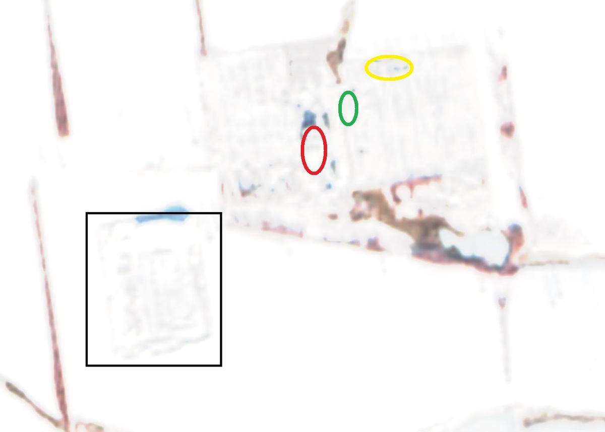 Космоснимок Сентинел от 12.01.2026