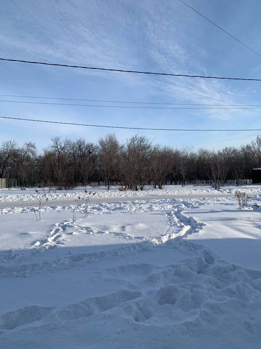 Сегодня мое окно такое