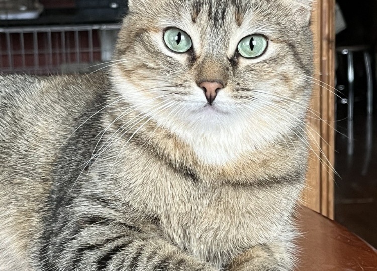 Как живёт Юнона сегодня