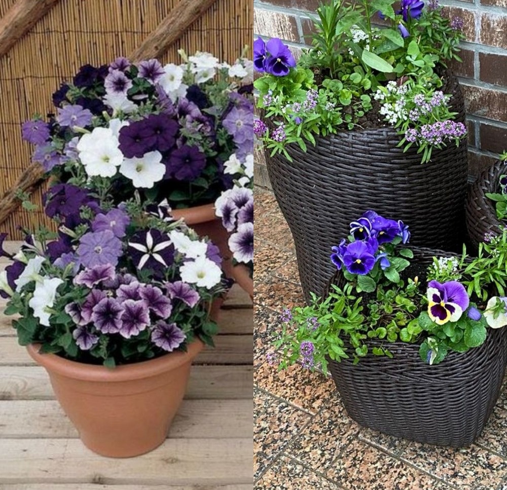 Фото со свободного источника