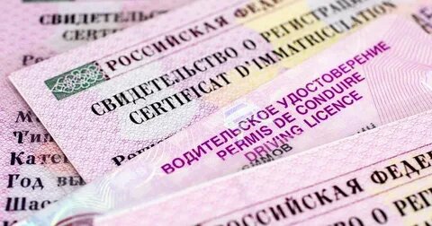 ▌ Нововведения в порядке замены водительского удостоверения в 2026 году: как изменился процесс и что ждет водителей?