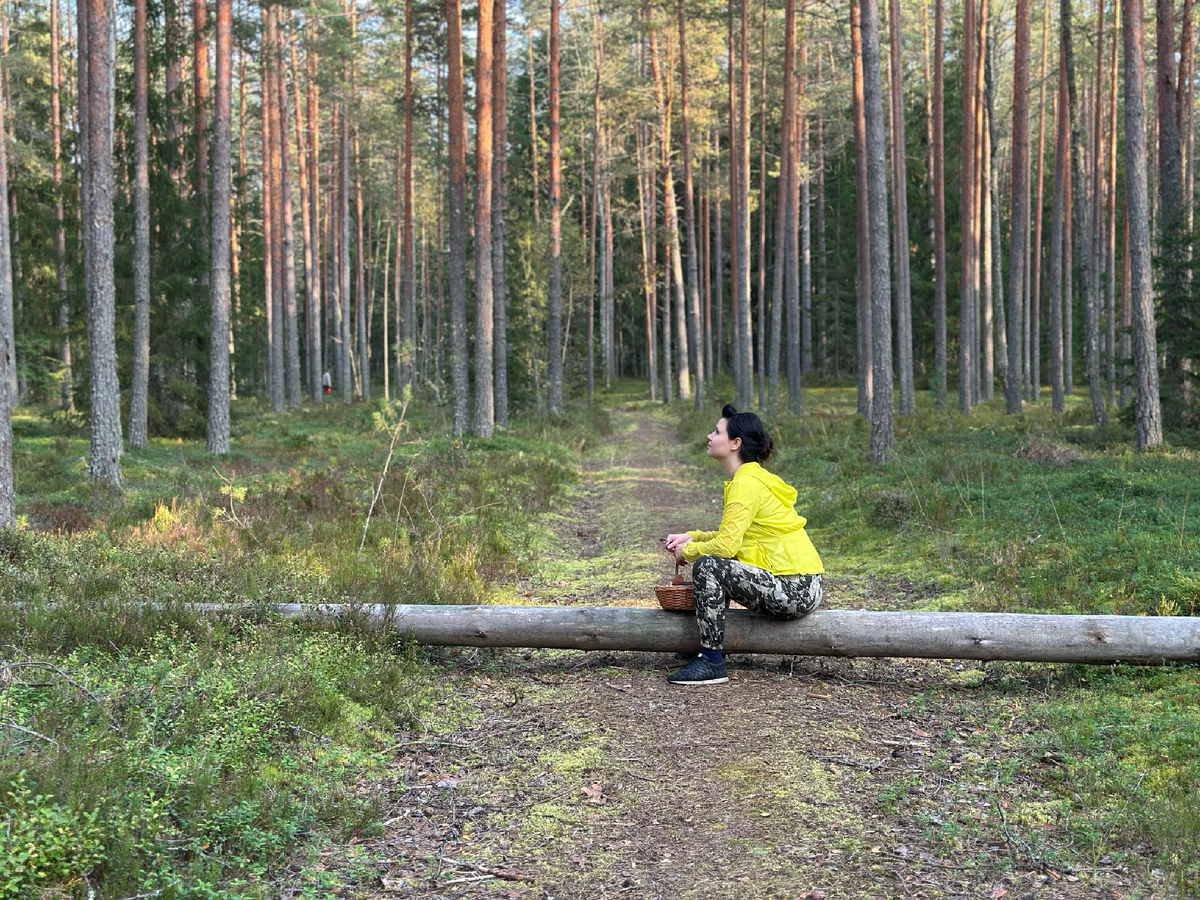 Даже грибов в лесу было крайне мало.
