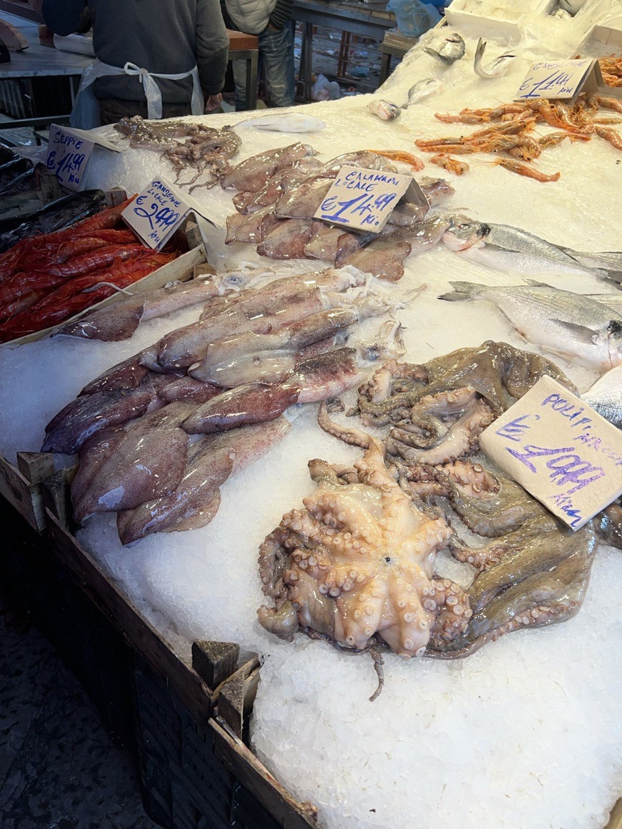 Свеженькие морские гады на прилавочках