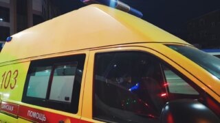    Элина Болдырева Юлия Виноградова