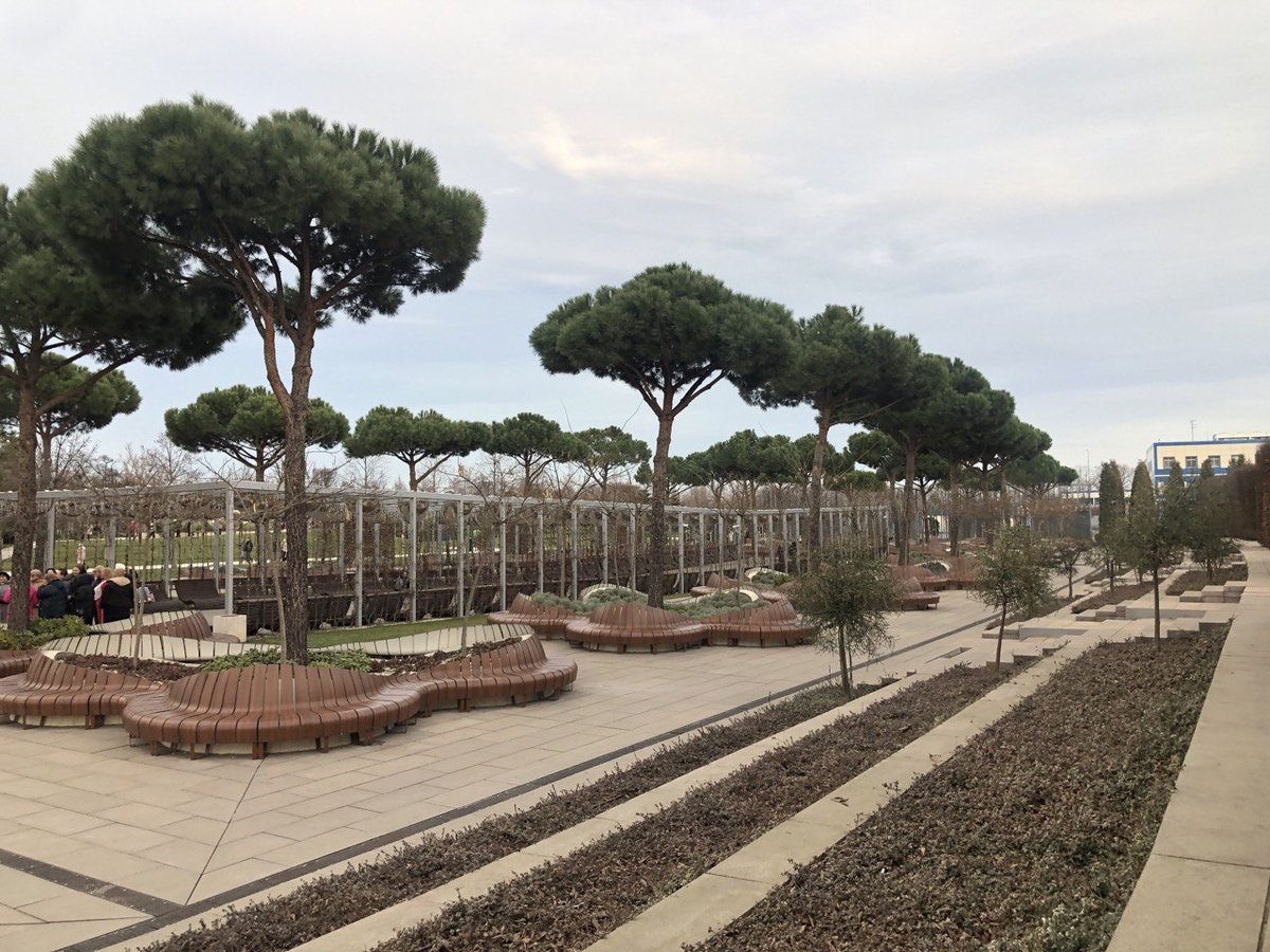 Аллеи парка "Краснодар"