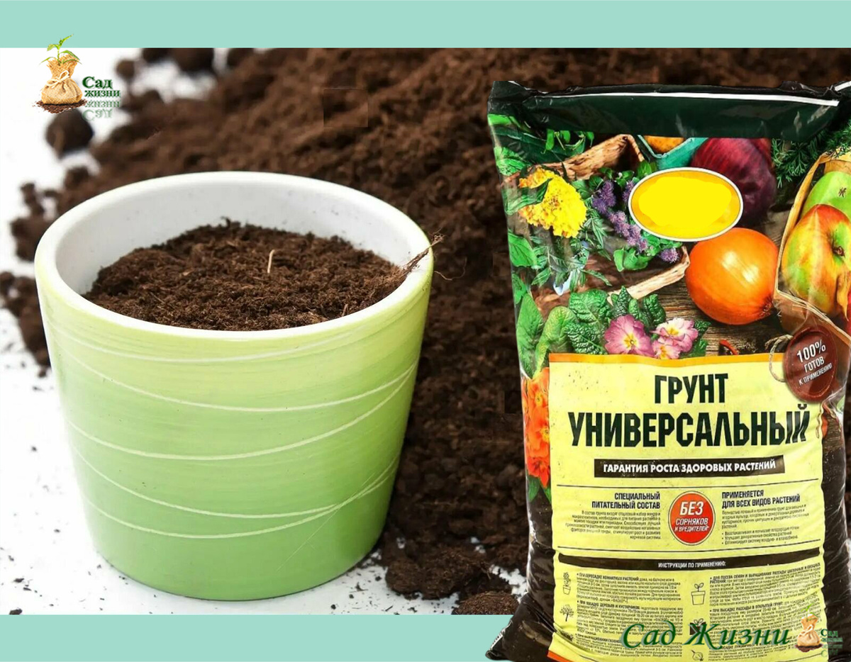 Покупной грунт может выглядеть идеально, но внутри часто оказывается «пустым» для рассады