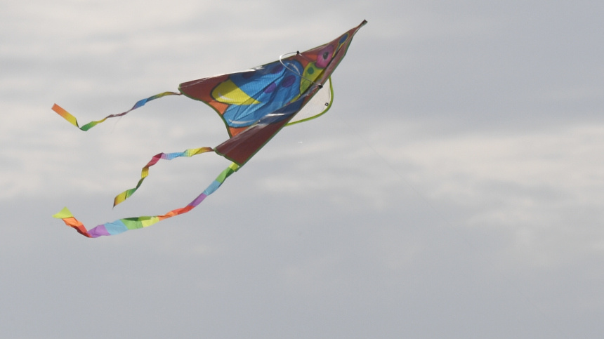    Фото: © РИА Новости/Кирилл Каллиников