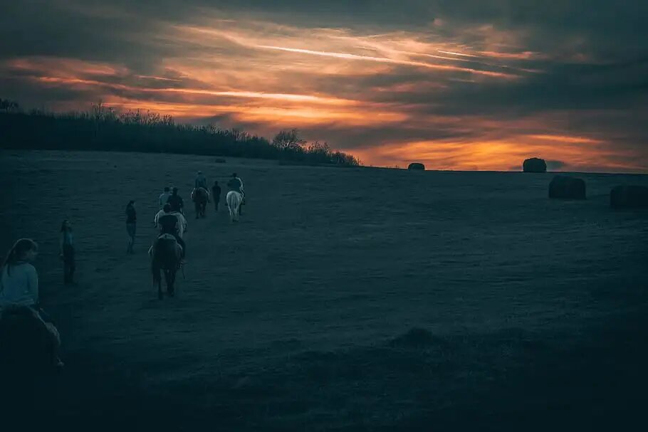 Конная поездка,опыт. Источник: Piqsels.com/ru