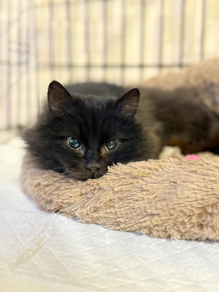 Асечка у нас 💖