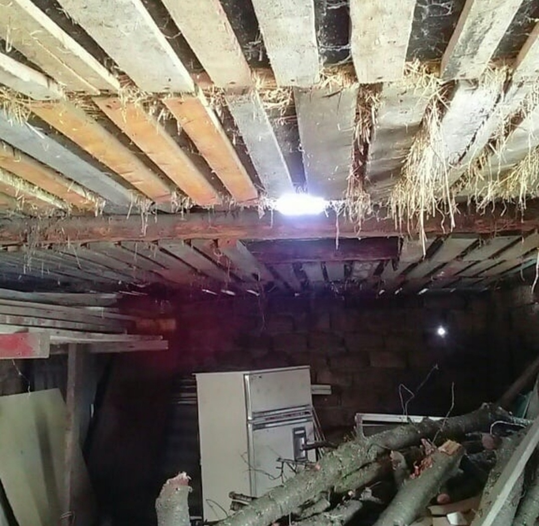 Так выглядел сарай до пепеезда