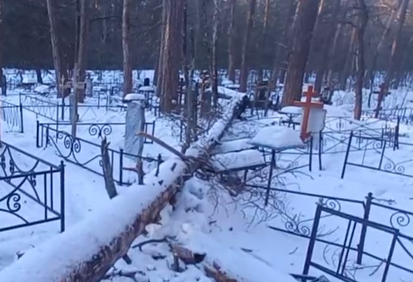 Внезапный разгром обнаружили на кладбище под Воронежем