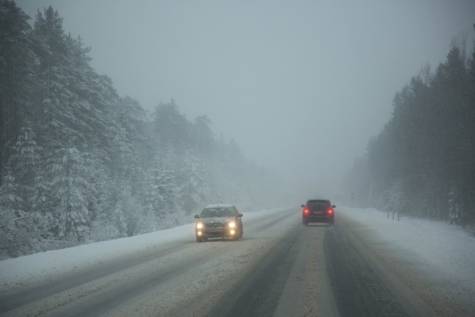    Подросток каждый день добирается пешком до школьного автобуса в местности, где были замечены волки. Александр ГЛУЗ