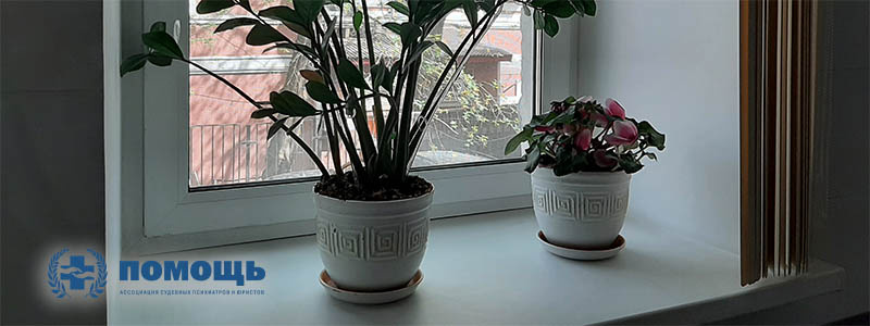 Цветы на подоконнике в Амбулаторно-клиническом центре «Помощь»